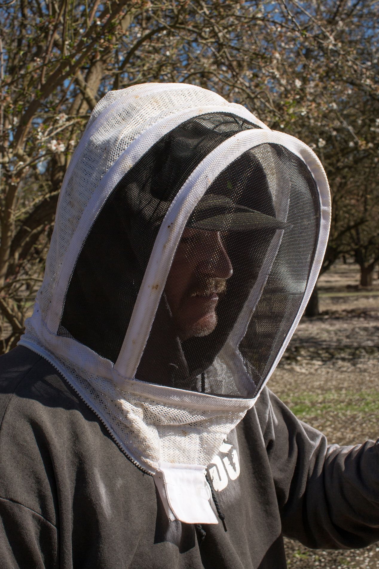Beekeeper in Central Valley, California, editorial photographer, Ilona Szwarc, Los Angeles. 